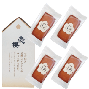 三河フィナンシェ
